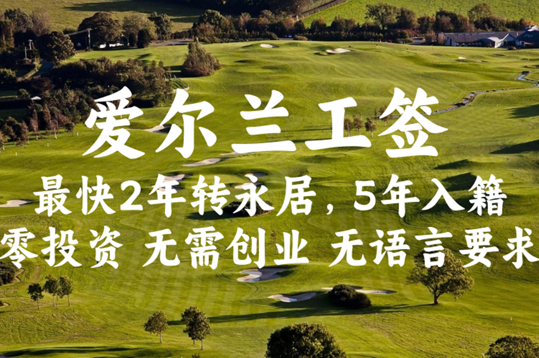 爱尔兰工签 (1)